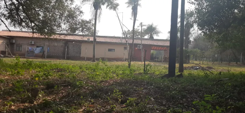 Vendo 3 terrenos en la ciudad de Ita km 39, a 300 metros de la ruta 1 — foto 2