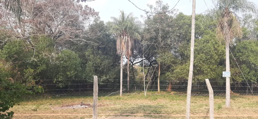 Vendo 3 terrenos en la ciudad de Ita km 39, a 300 metros de la ruta 1 — foto 3