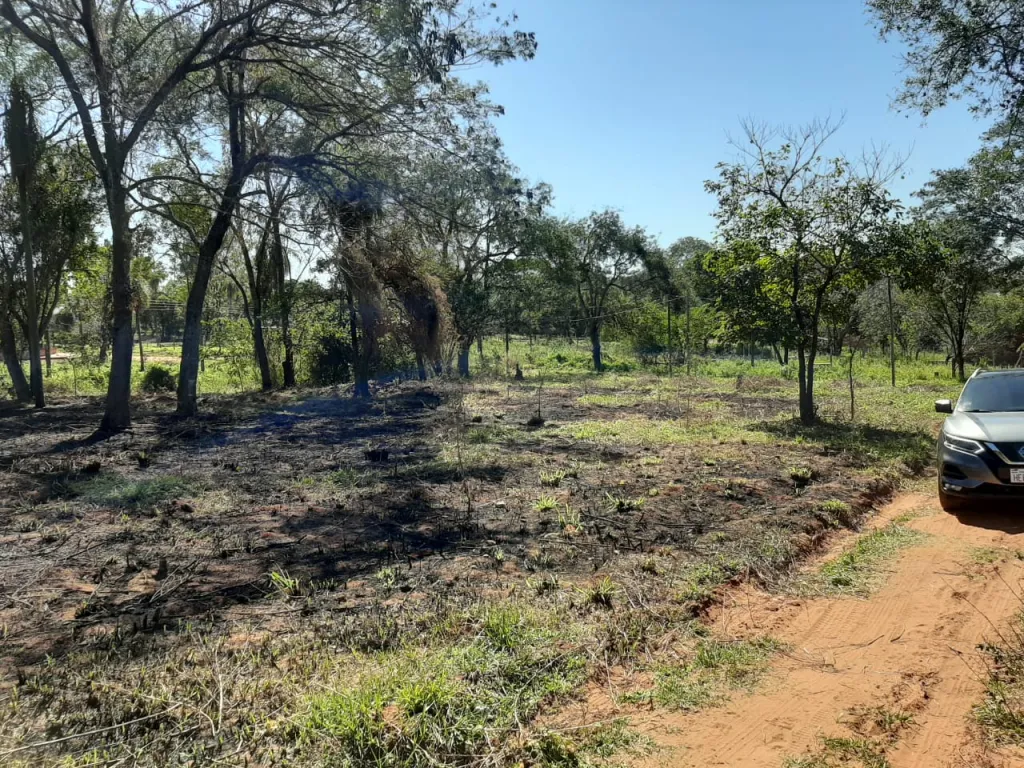 VENDO TERRENOS EN AREGUA, ESPECIAL PARA CASA QUINTA. 5 TERRENOS JUNTOS, EN OFERTAA!!!!!!! — foto 2
