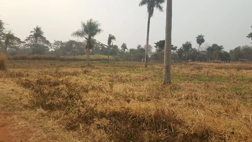 Vendo esta propiedad en Augusto Saldivar — foto 3