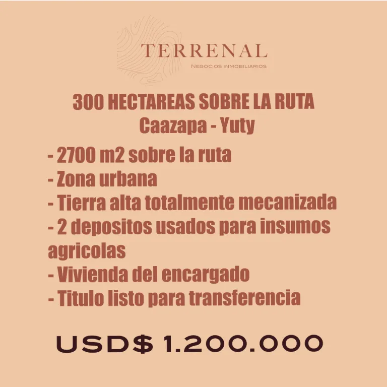 YUTY de 300 hectáreas — foto 2
