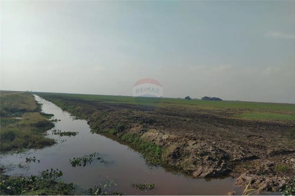 CAMPO CON IRRIGACION NATURAL PARA CULTIVO DE ARROZ 9,650,000 USD — foto 2