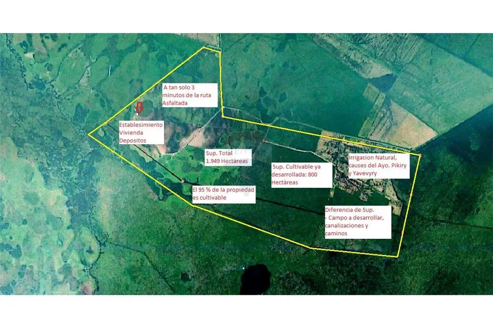 CAMPO CON IRRIGACION NATURAL PARA CULTIVO DE ARROZ 9,650,000 USD — foto 3