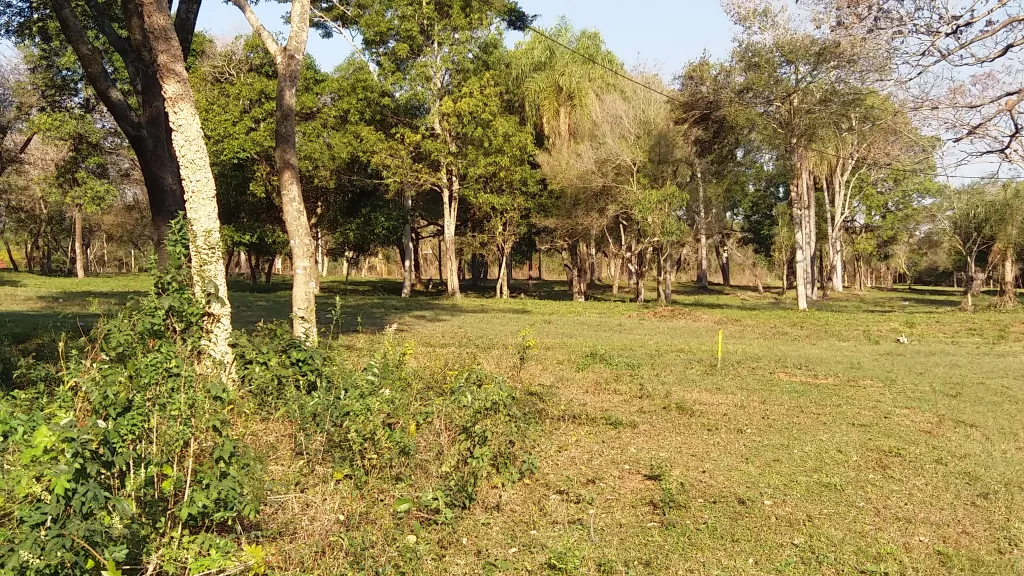 Vendo Terreno En Altos Cordillera — foto 3