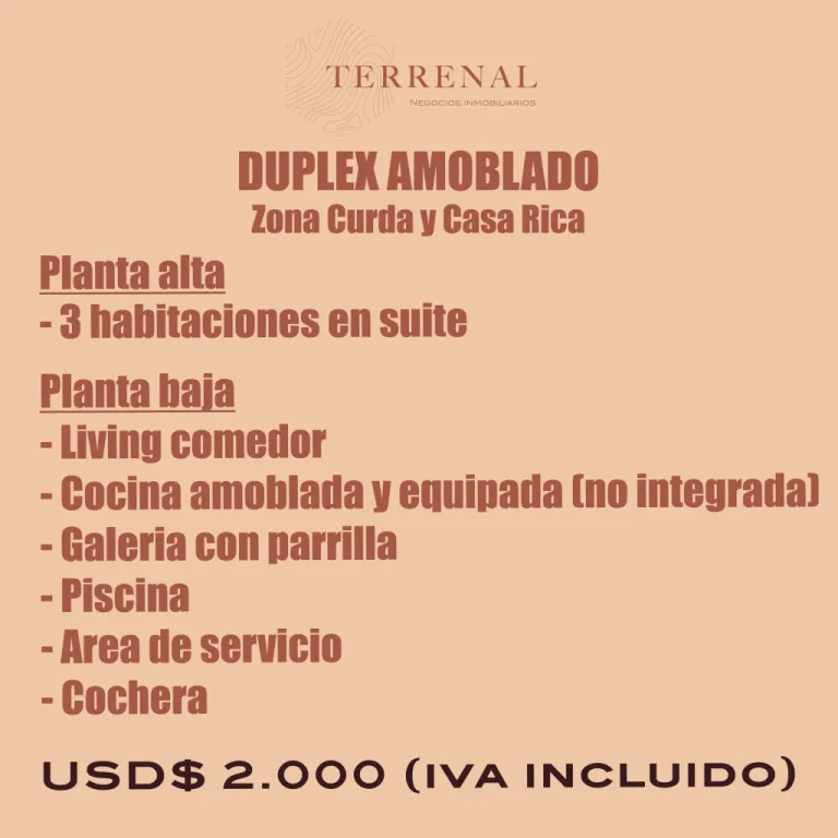 Duplex amoblado - Zona Curda y Casa Rica — foto 3