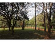 ALTOS - 6 HERMOSOS Lotes arbolados en la Ciudad de Altos - 2.376 m2 !!!