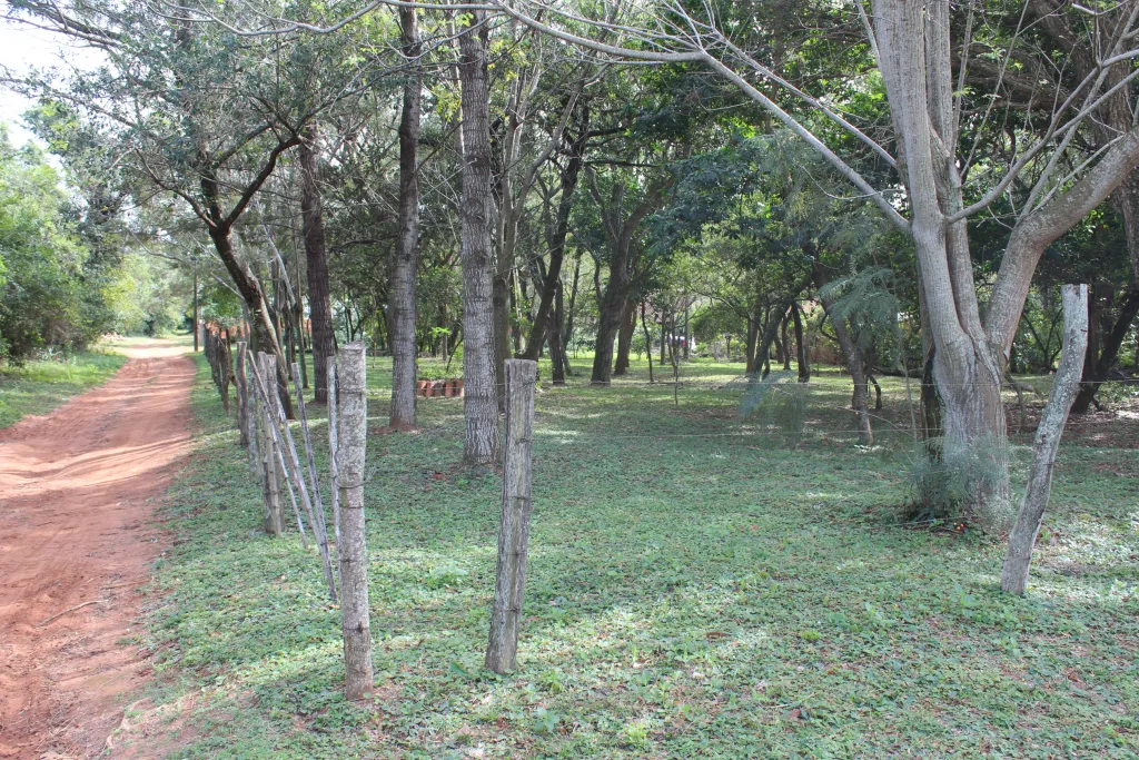 ALTOS - 6 HERMOSOS Lotes arbolados en la Ciudad de Altos - 2.376 m2!!! — foto 2