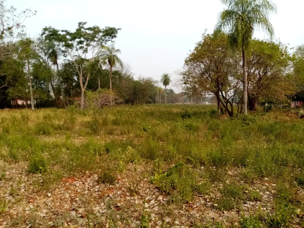 GRAN OFERTA!!!Amplio terreno en Limpio. — foto 3