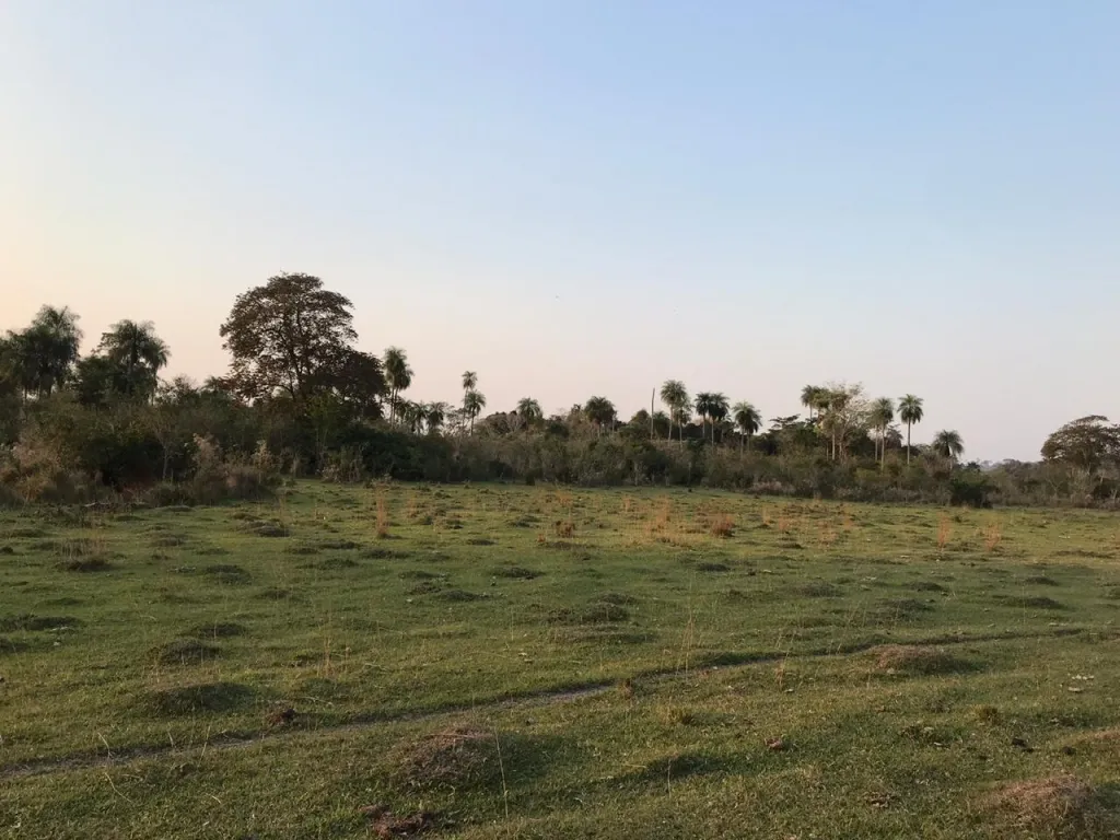 TERRENO DE 142 HECTAREAS SRUTA! — foto 3