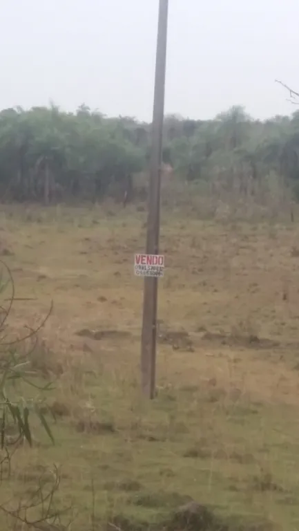 Vendo 2 hectáreas sobre Ruta en Tobati zona céntrica — foto 2