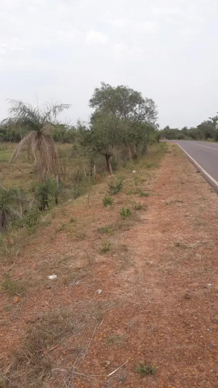 Vendo 2 hectáreas sobre Ruta en Tobati zona céntrica — foto 3