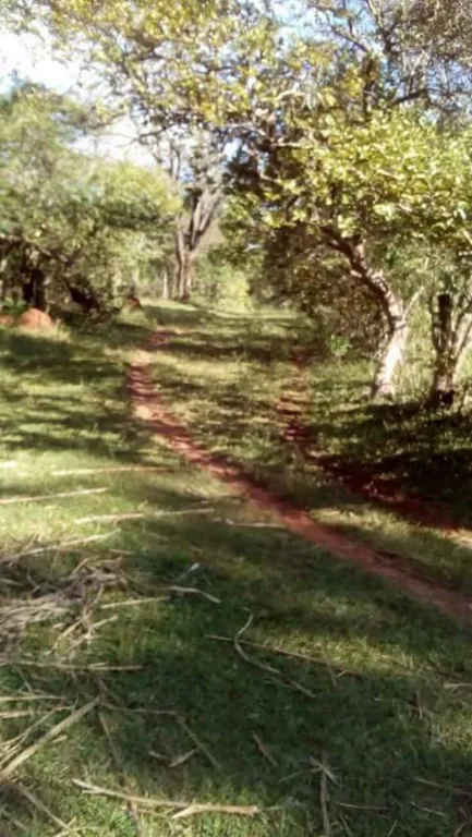 TİTULADO — foto 3