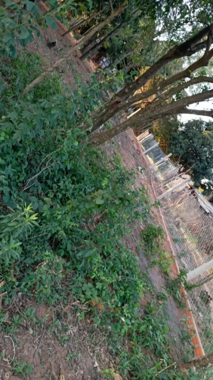 Terreno en Capiata - Titulado — foto 2