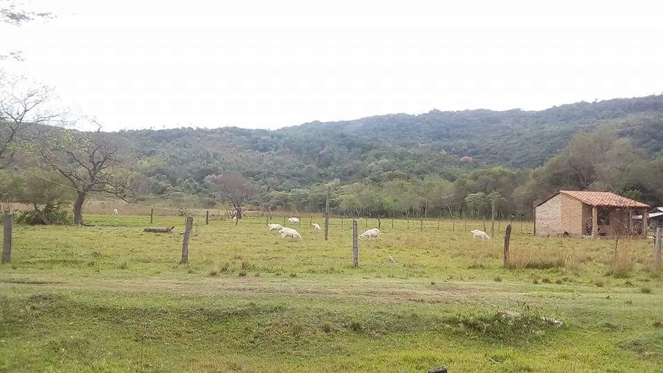 Terreno de 6 hectáreas en Arroyo Porã-Sapukai — foto 2