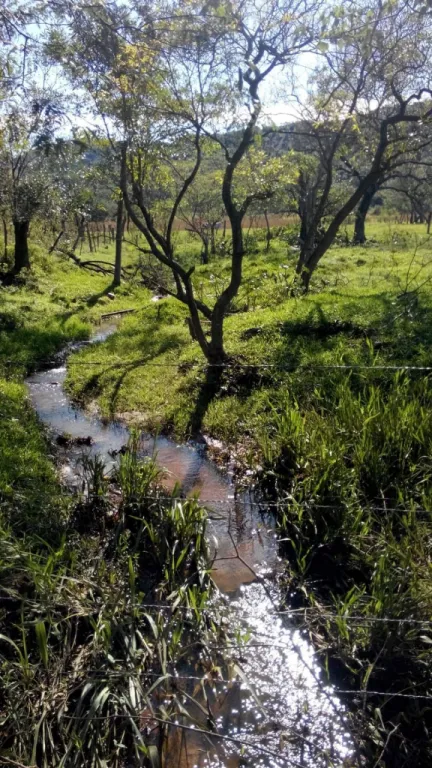 Terreno de 6 hectáreas en Arroyo Porã-Sapukai — foto 3
