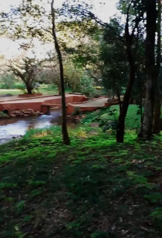 hermosa quinta A 15 minutos de Encarnacion — foto 2