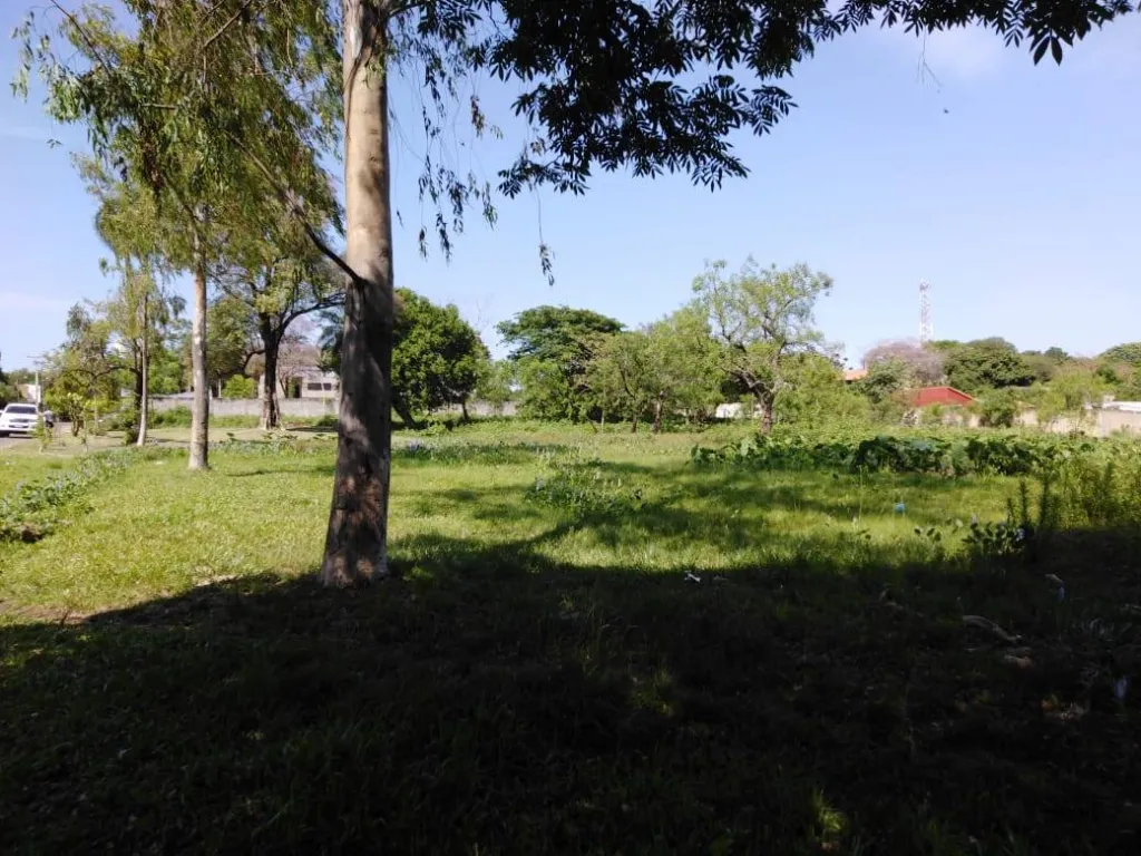 TERRENO EN CAPIATA RUTA 2. ZONA PECHUGON. 2107 — foto 3