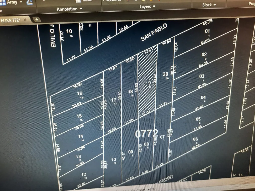 VENDO HERMOSO TERRENO EN VILLA ELISA – ZONA MBOCAYATY — foto 3