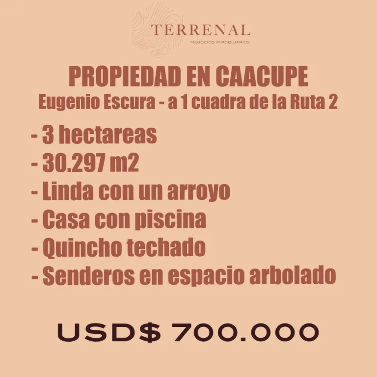 Propiedad en Caacupe — foto 3