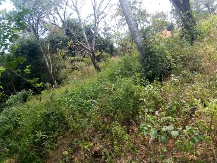 Vendo Terreno en Ñemby — foto 2