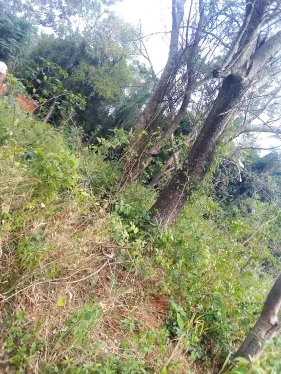 Vendo Terreno en Ñemby — foto 3