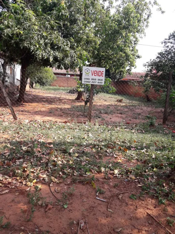 OFERTO TERRENO LUQUE — foto 2