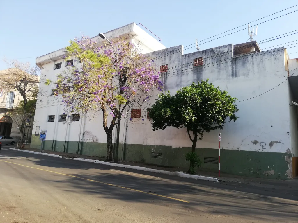 EDIFICIO INDEPENDENCIA NACIONAL ESQ. PARAGUAYO INDEP. — foto 3