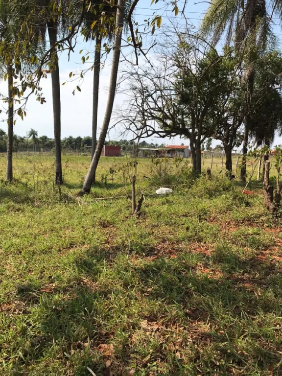 Terreno en venta sobre ruta Piribebuy — foto 2