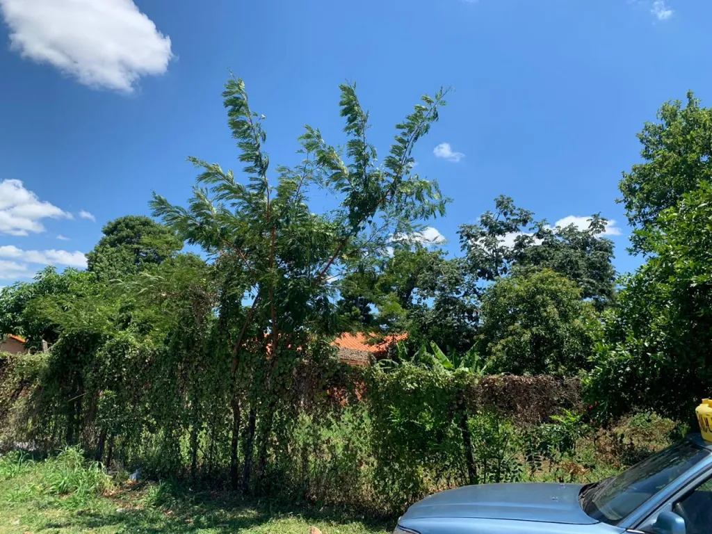 ¡OFERTA! Vendo terreno en san lorenzo — foto 2