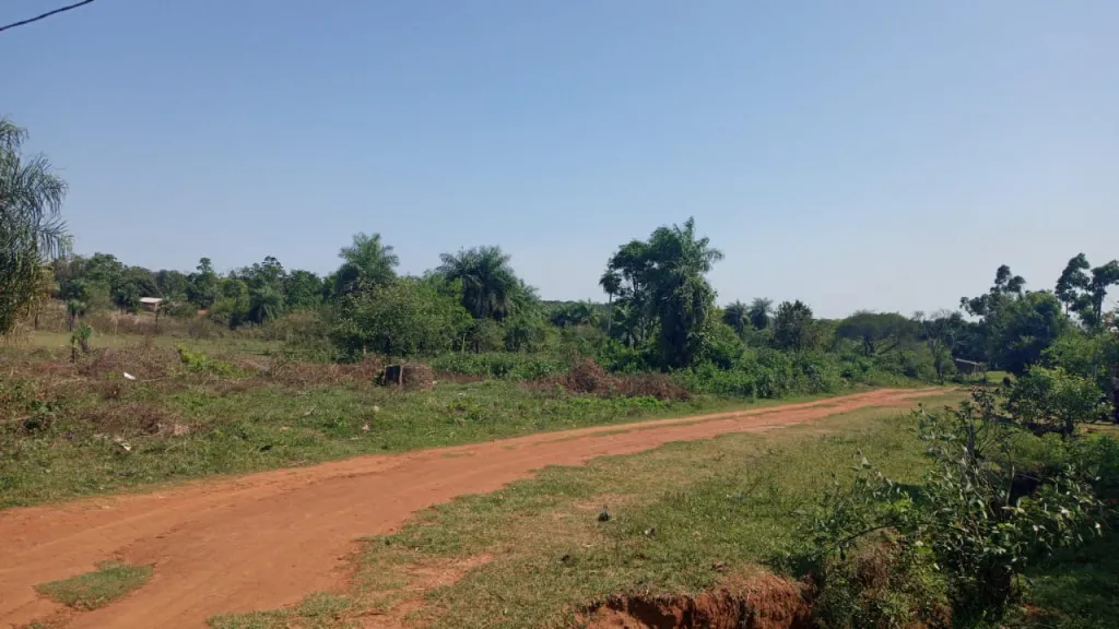 TERRENOS EN LA CIUDAD DE YUTY — foto 2