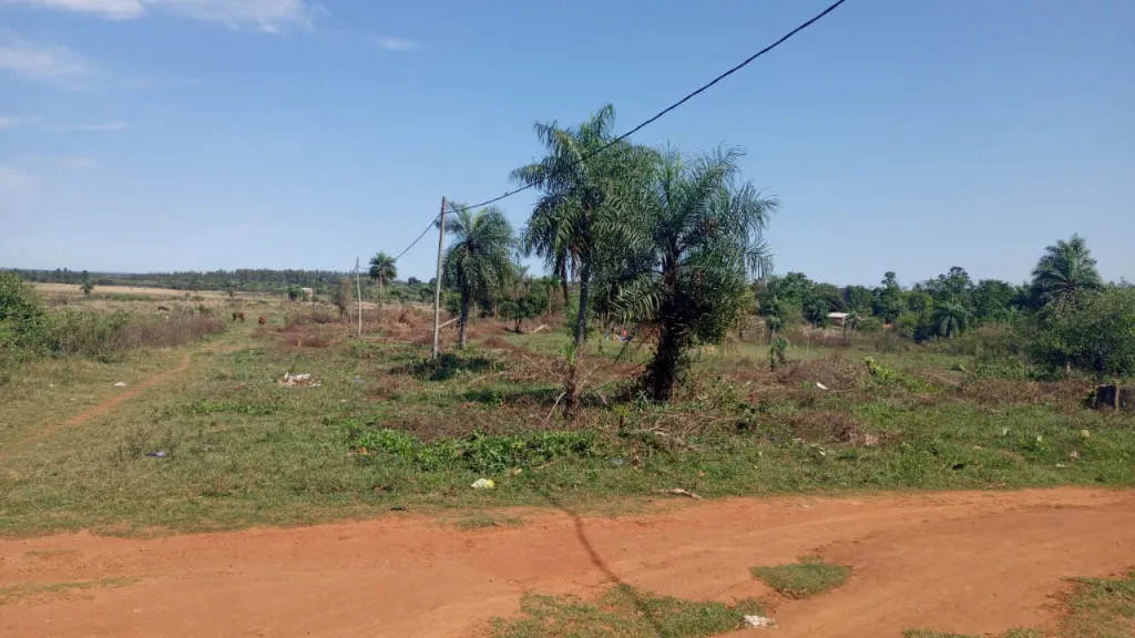 TERRENOS EN LA CIUDAD DE YUTY — foto 3