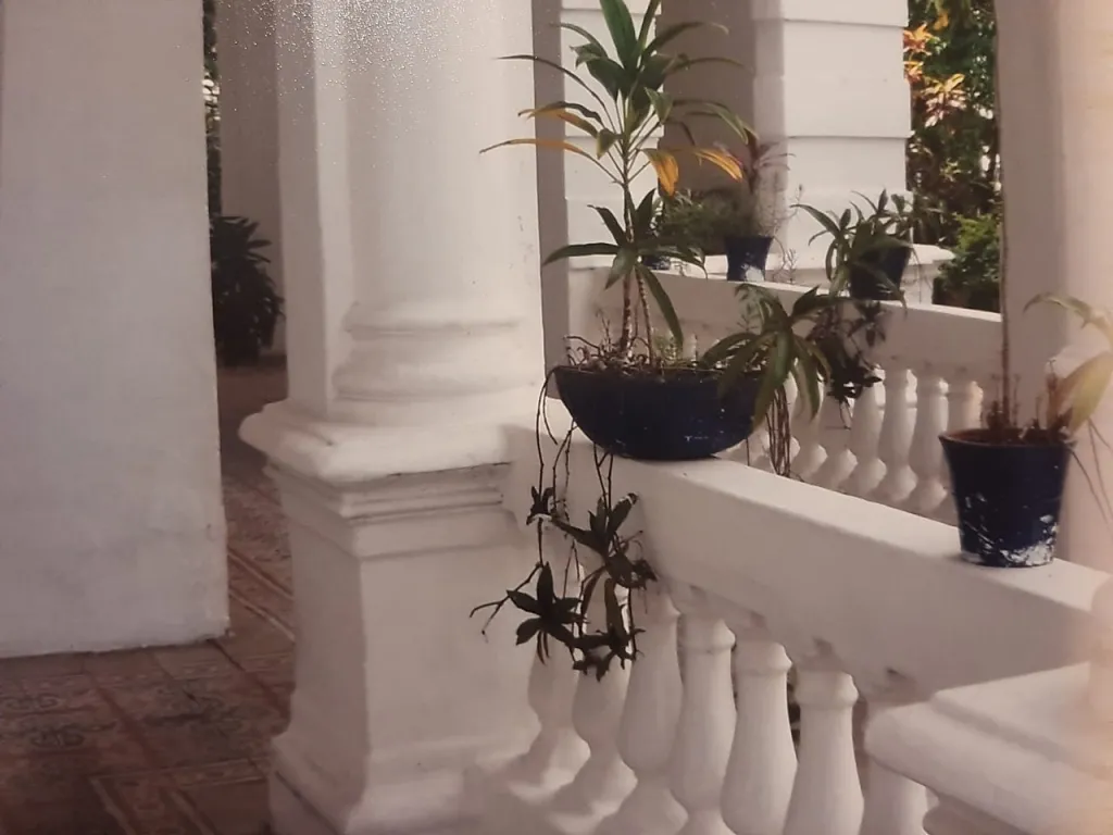 SOBRE AVENIDA MCAL. LÓPEZ CASI PERÚ, AMPLIA CASA COLONIAL — foto 3