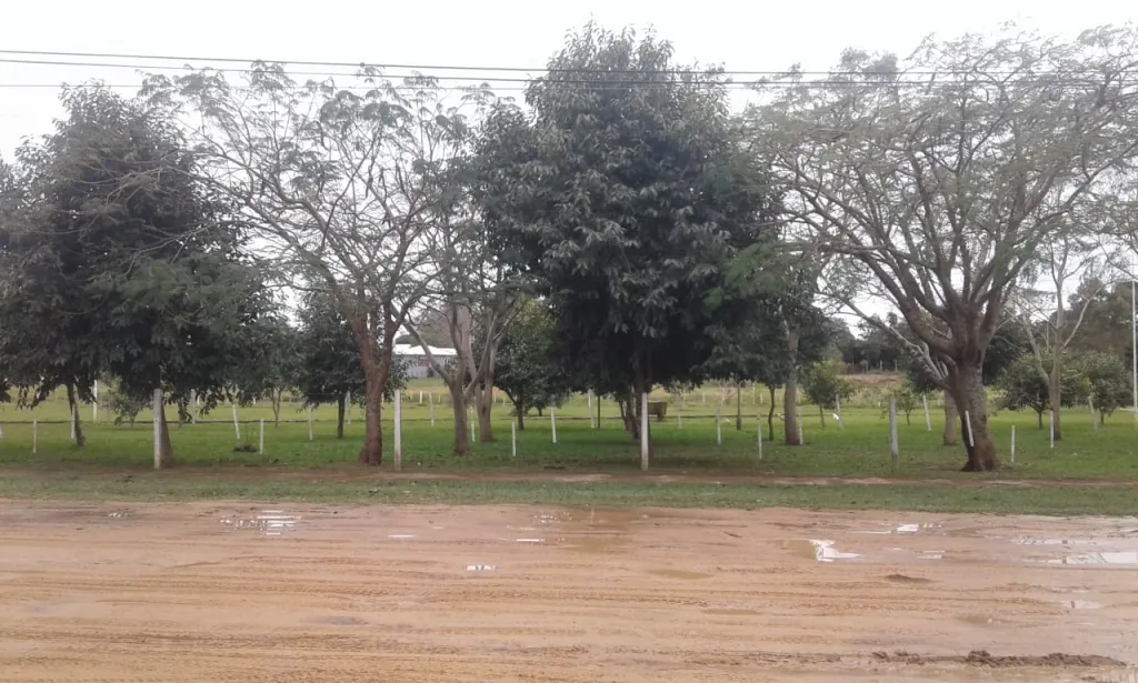 !!VENDO TERRENO TITULADO 500 M2 A PASOS DE LA PLAYA EN PLENO CENTRO DE CERRITO ÑEEMBUCU!!! — foto 2