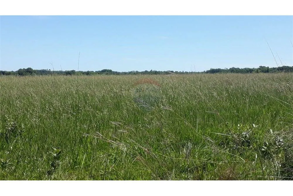 CAMPO EN VENTA - APTO PARA GANADERÍA 9,114,000 USD — foto 2