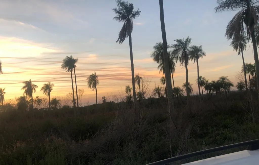 VENDO 11.5 HECTAREAS EN ITAGUA - POTRERO GUASU! — foto 2