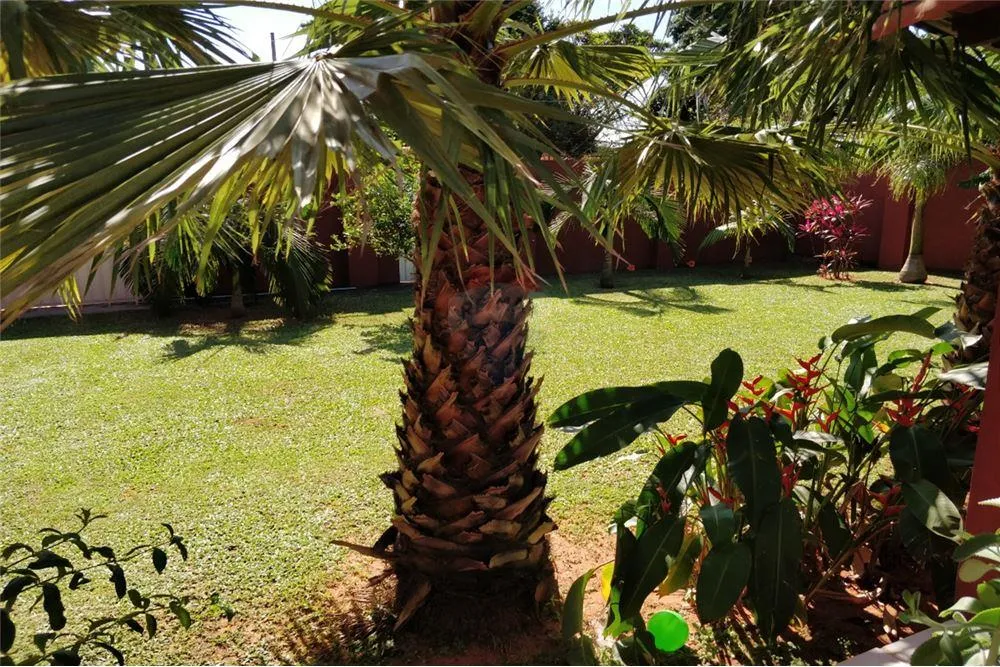 Vendo propiedad en Ñemby con patio y piscina 188,000 USD — foto 3