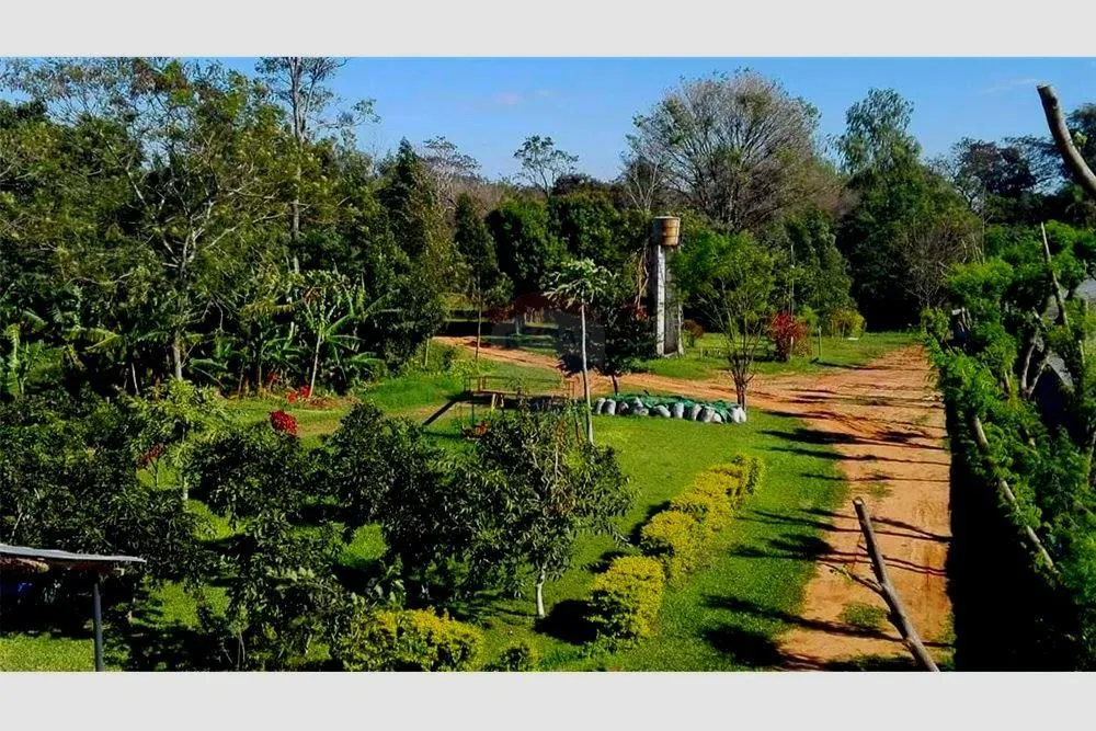 HERMOSO CAMPO DE 2,5 HAS RUTA 2 600,000,000 ₲ — foto 2