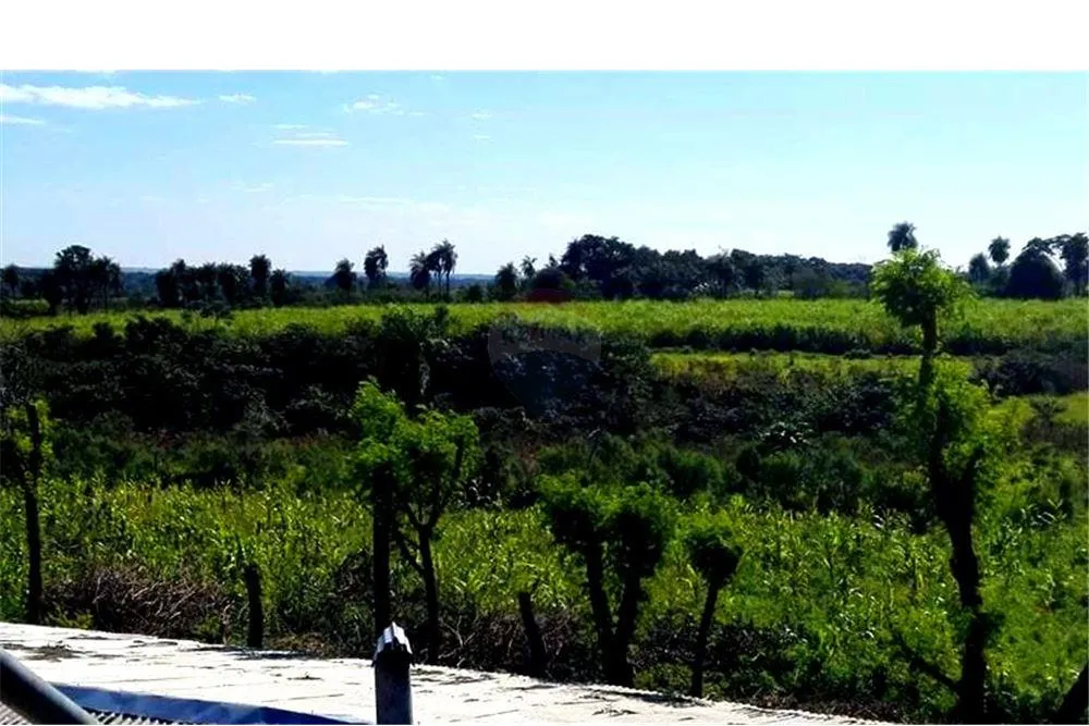 HERMOSO CAMPO DE 2,5 HAS RUTA 2 600,000,000 ₲ — foto 3