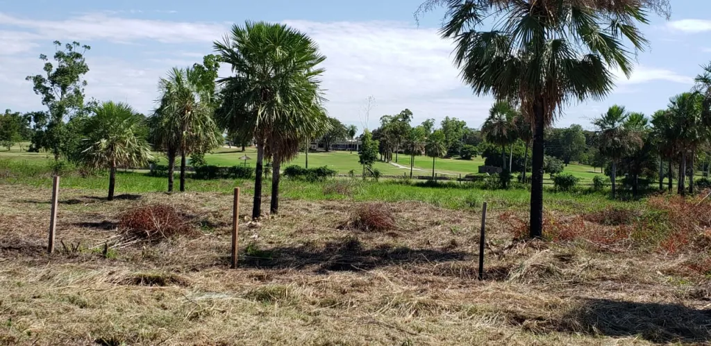 importante propiedad en surubii 4.000 m2 — foto 2