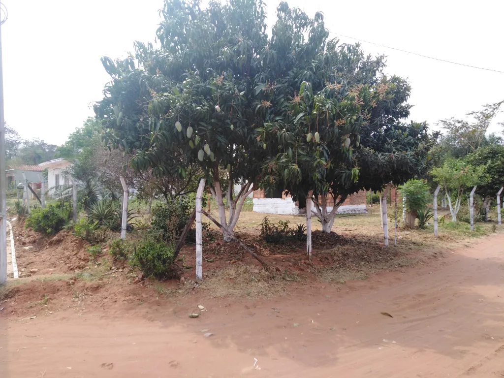 Ofertaaa! Vendo terreno en San Antonio — foto 2