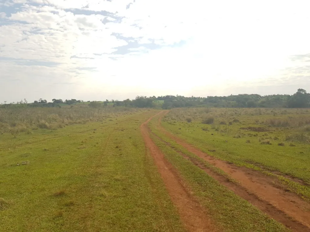 En venta terreno en oferta de 10 ha en La Paz. — foto 2
