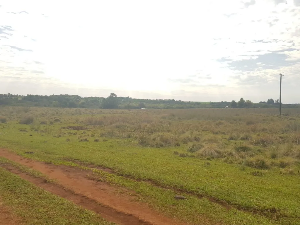 En venta terreno en oferta de 10 ha en La Paz. — foto 3