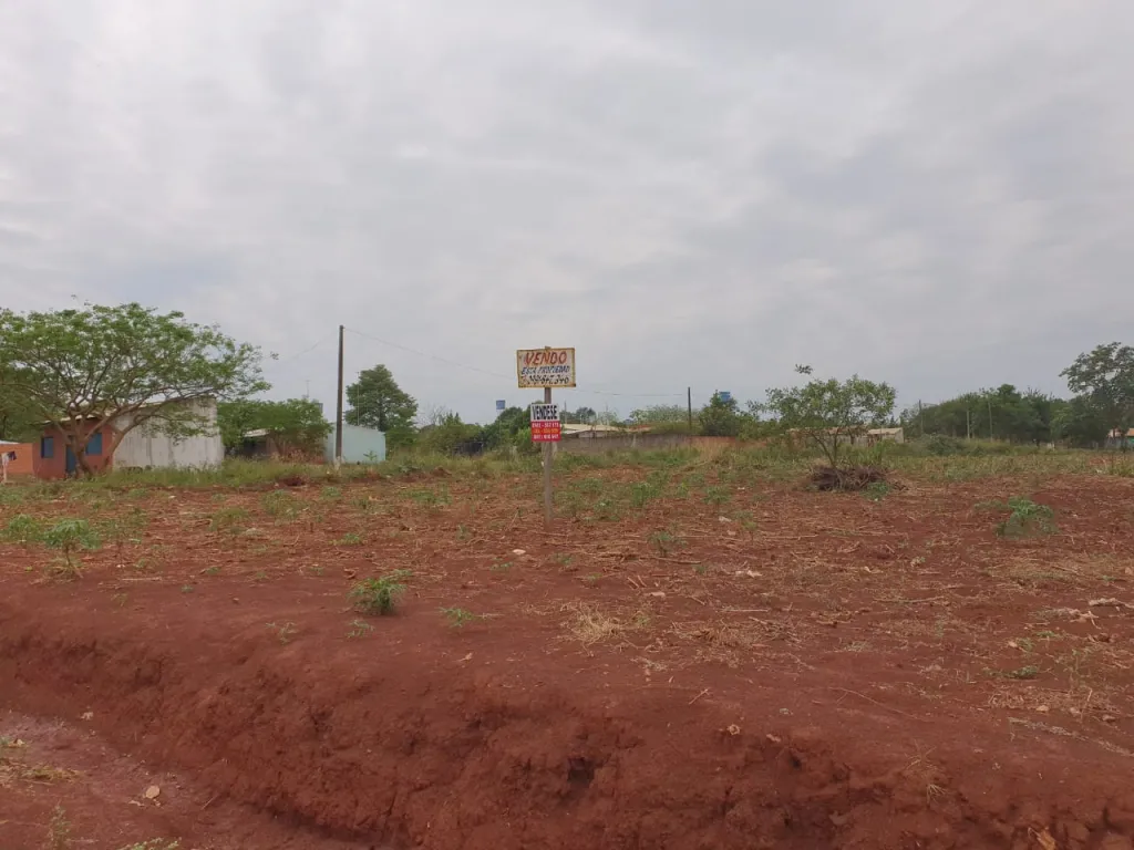Vendo Terreno Minga Guazu — foto 3