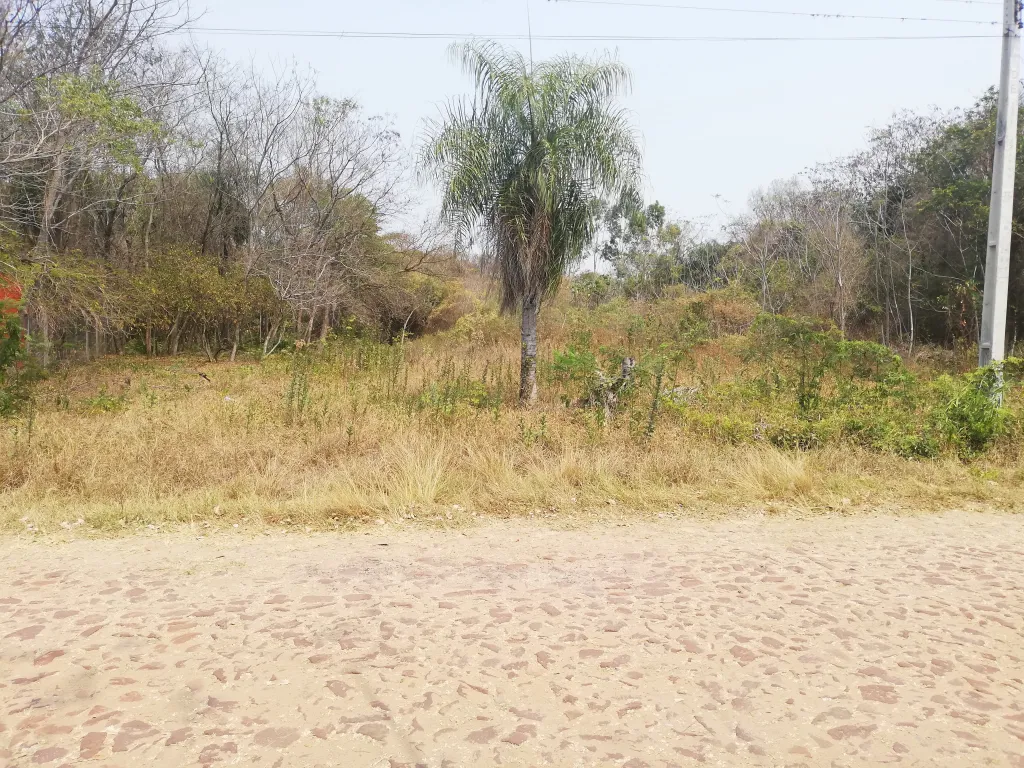 VENDO TERRENO EN AREGUA A ORILLAS DEL LAGO!! — foto 3