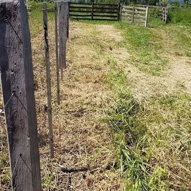 33.8 HECTAREAS EN VENTA EN SAN SOLANO MISIONES — foto 2