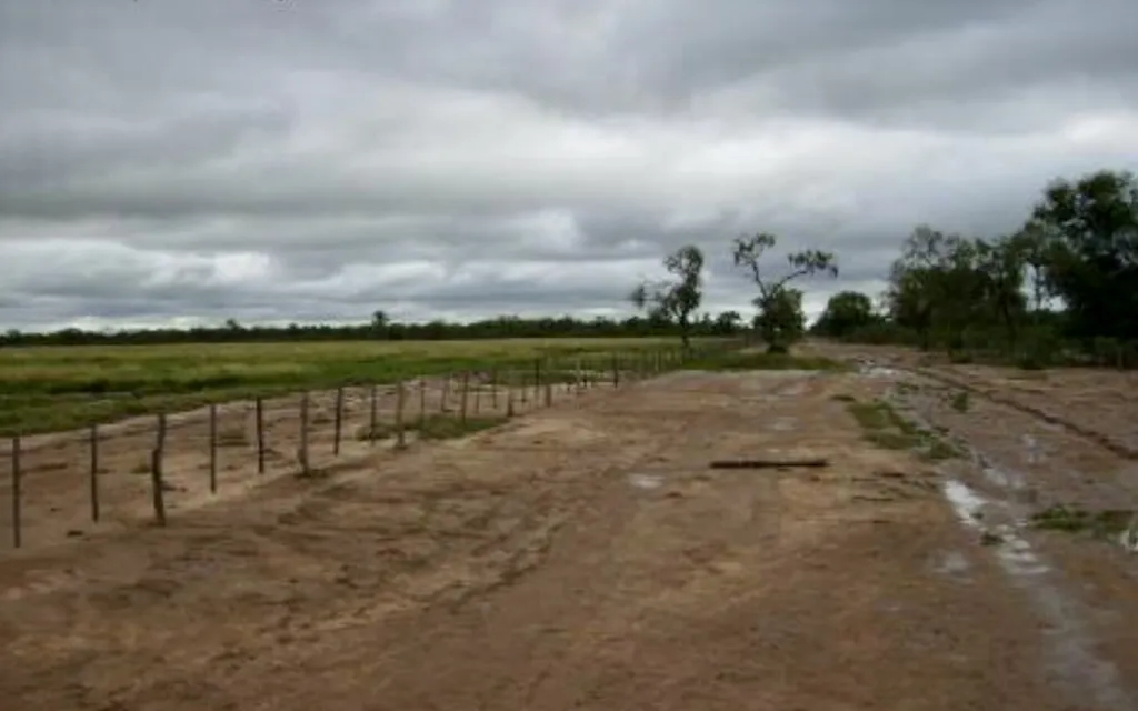 Campo Agrícola - Ganadero Mecanizado en La Patria - 5000 Has — foto 2