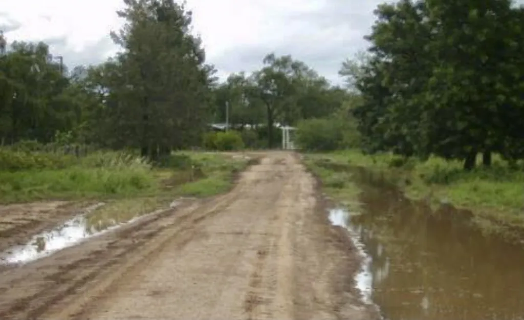 Campo Agrícola - Ganadero Mecanizado en La Patria - 5000 Has — foto 3