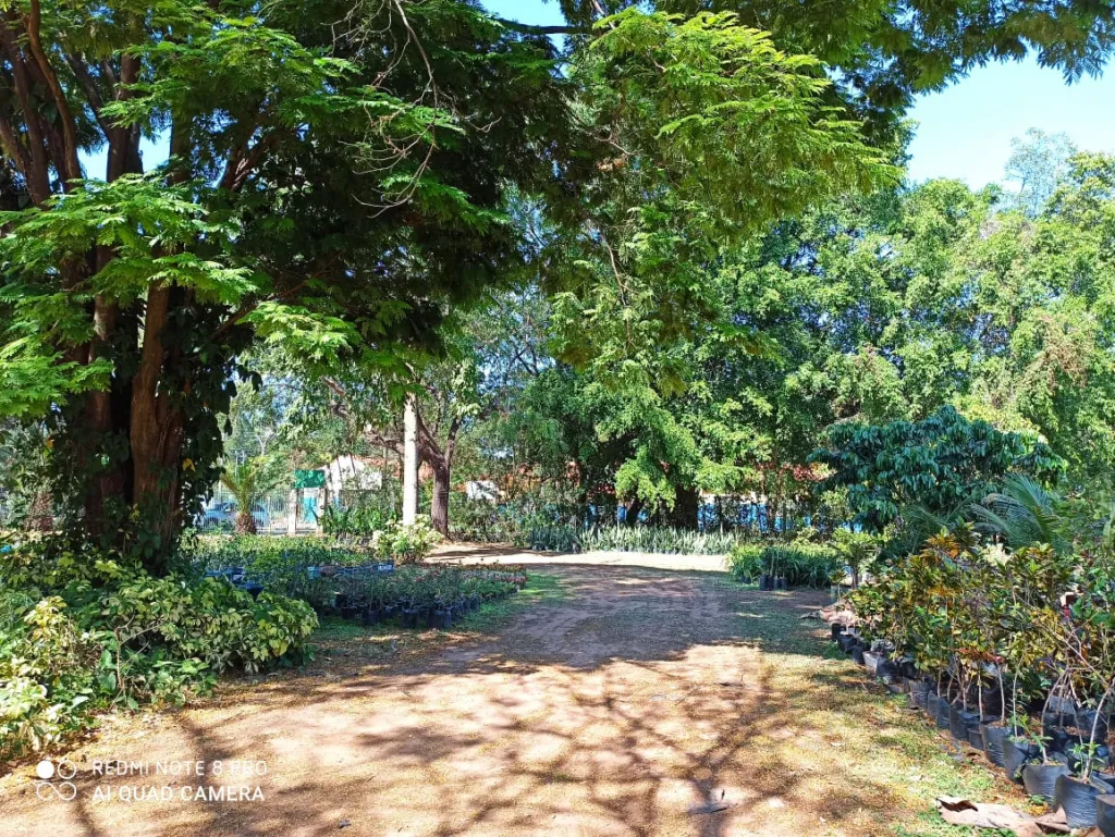 SE VENDE TERRENO DE 34.000 M2 EN ZONA RAKIURA — foto 2