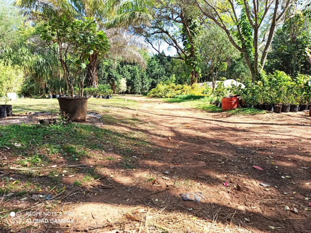 SE VENDE TERRENO DE 34.000 M2 EN ZONA RAKIURA — foto 3
