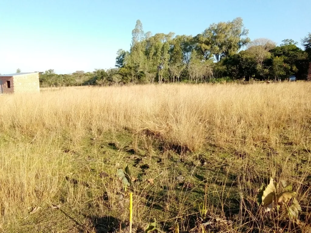 OFERTO terreno en Luque Jukyry — foto 3